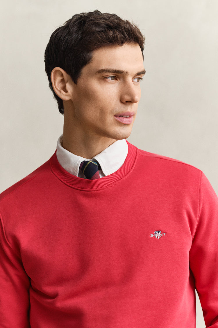 Bluza męska z okrągłym kołnierzykiem i długim rękawem regular fit