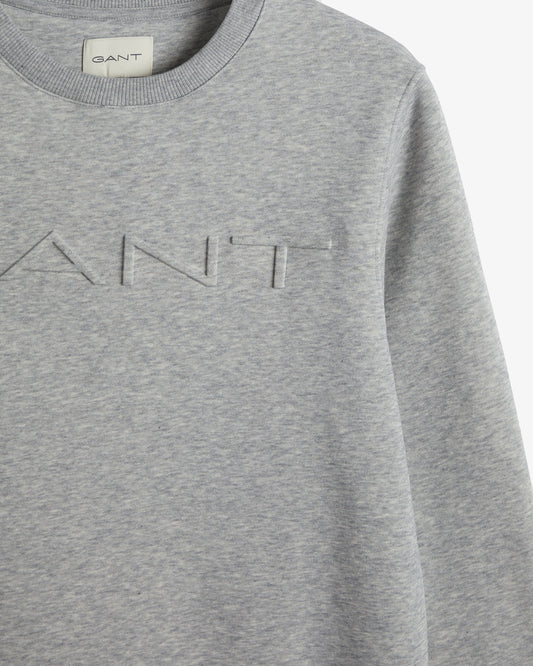 Bluza męska z nadrukiem regular fit szara