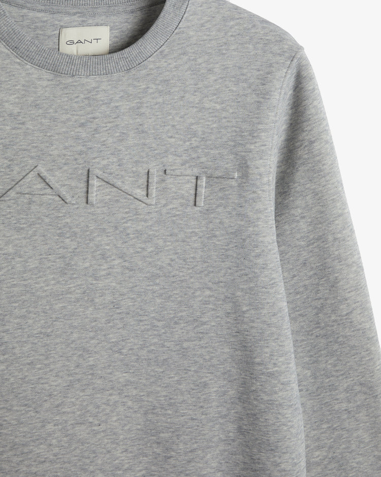 Bluza męska z nadrukiem regular fit szara