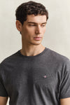 T-shirt męski z okrągłym dekoltem regular fit szary