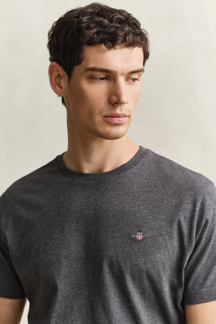 T-shirt męski z okrągłym dekoltem regular fit szary