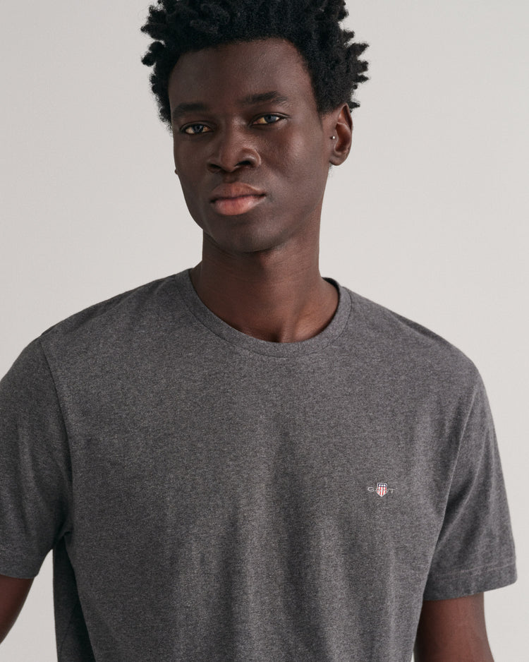 T-shirt męski z okrągłym dekoltem regular fit szary