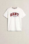 T-shirt męski z nadrukiem beżowy