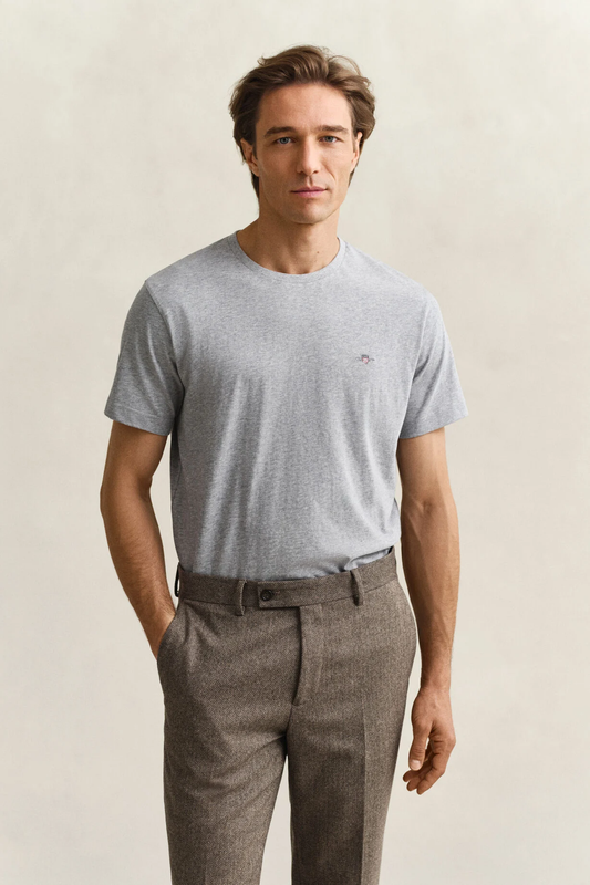 T-shirt męski z okrągłym dekoltem regular fit szary