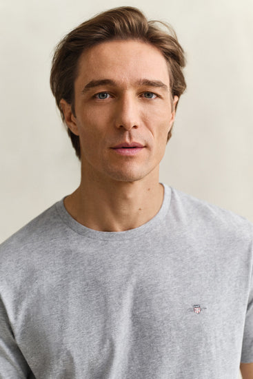 T-shirt męski z okrągłym dekoltem regular fit szary